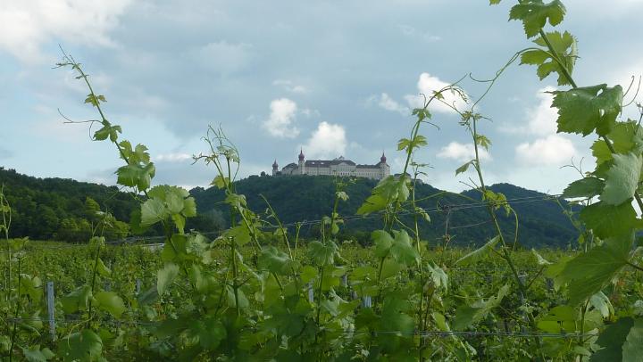 Wachau 2011 75